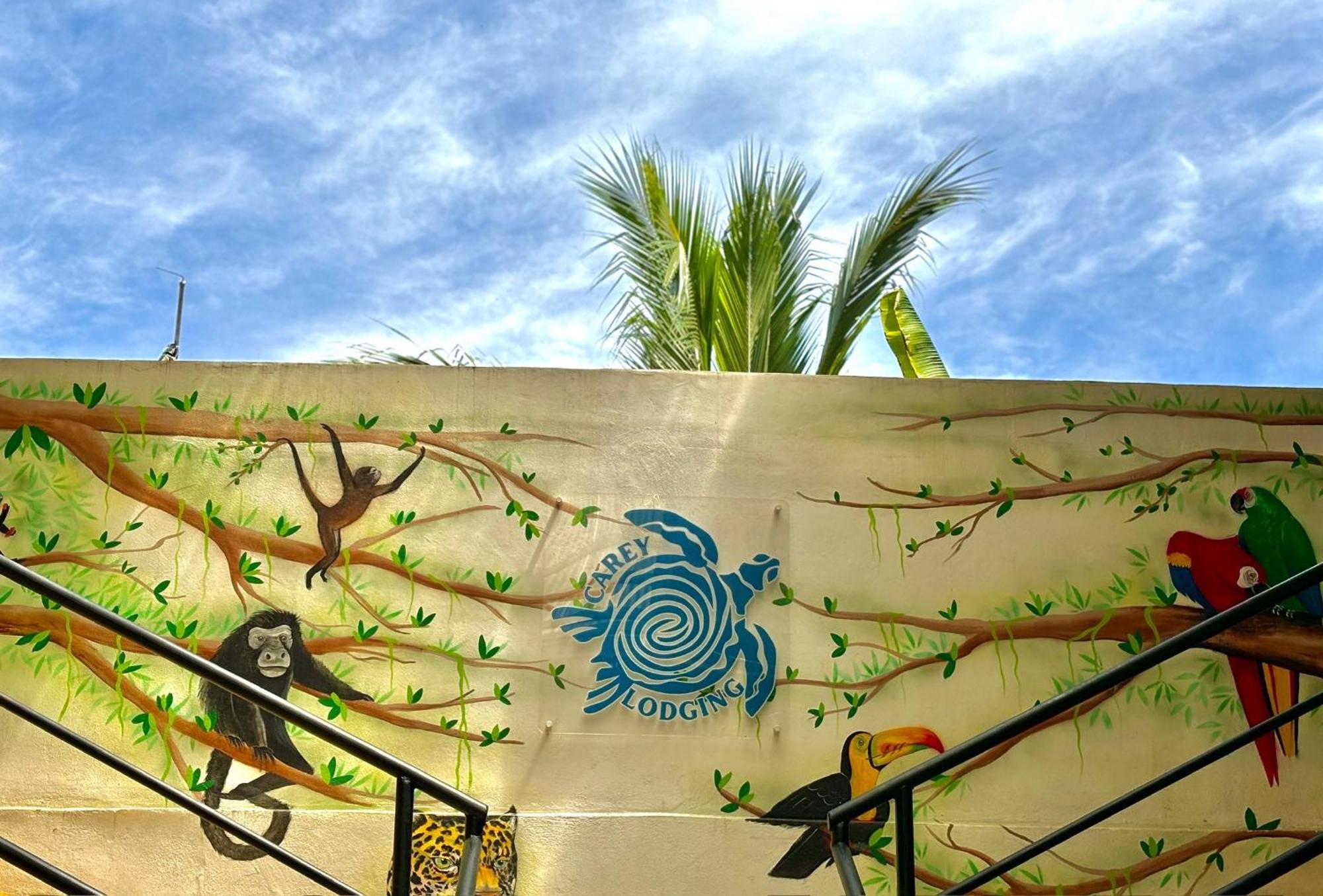 טורטוגוארו Carey Lodging מראה חיצוני תמונה