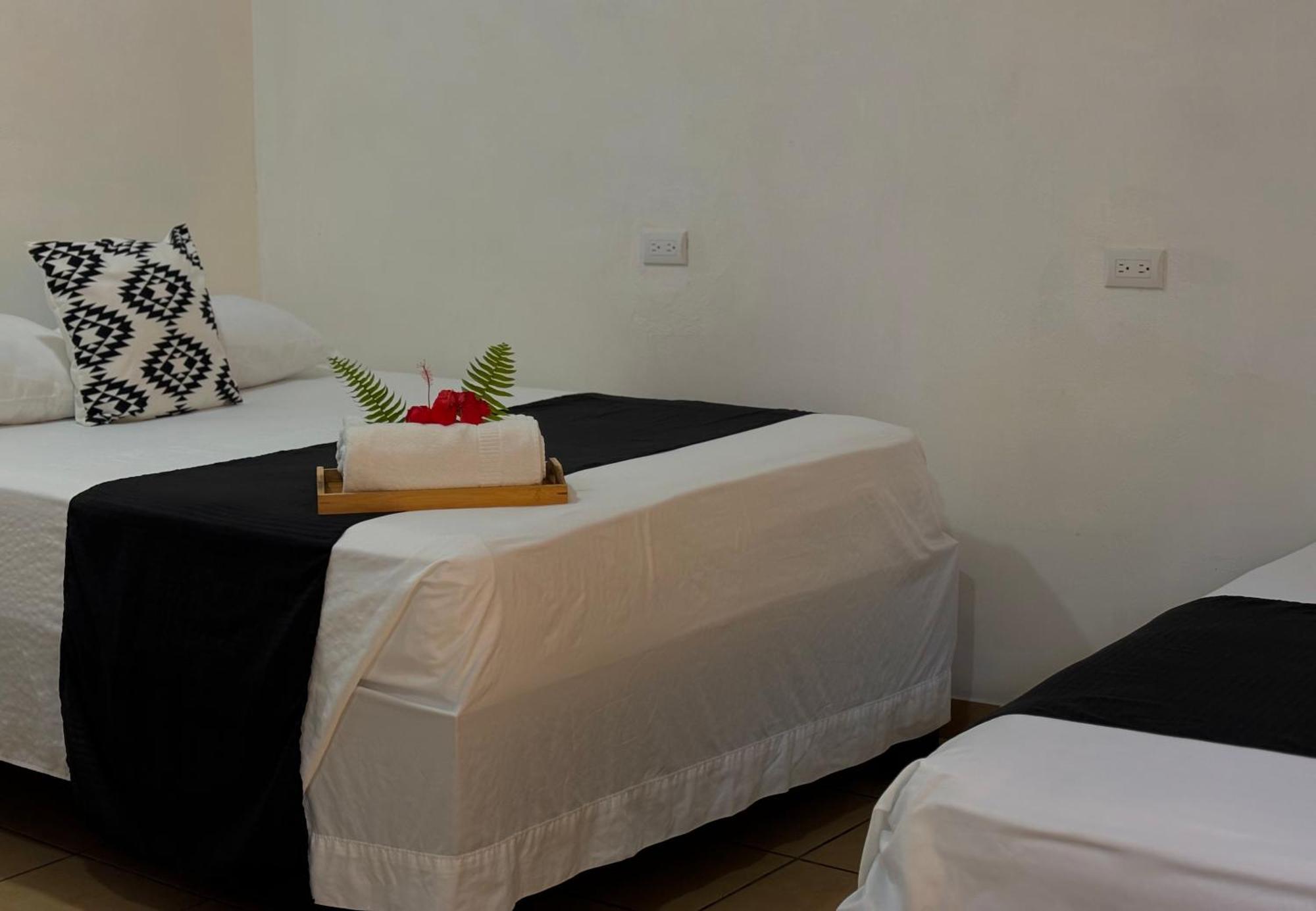 טורטוגוארו Carey Lodging מראה חיצוני תמונה