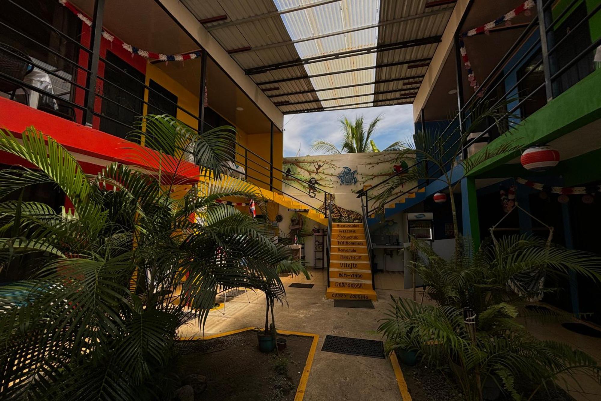 טורטוגוארו Carey Lodging מראה חיצוני תמונה